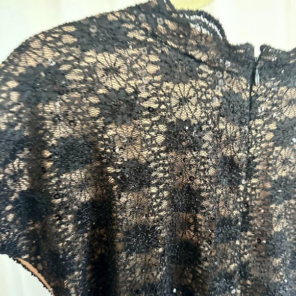 Alex Evenings Women's Plus 24W Black Lace Evening Dress with Sequins NWT - Picture 4 of 10